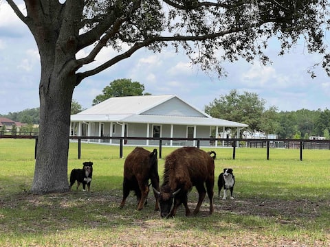 Peaceful and confortable House in a Horse Farm