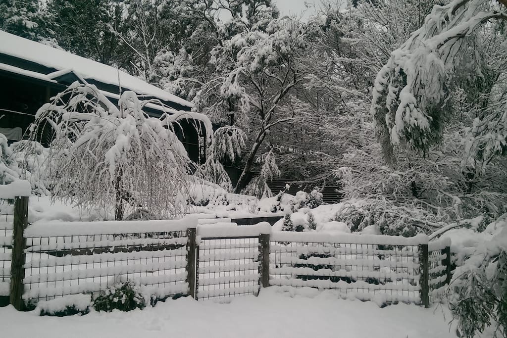A white July 2015!
