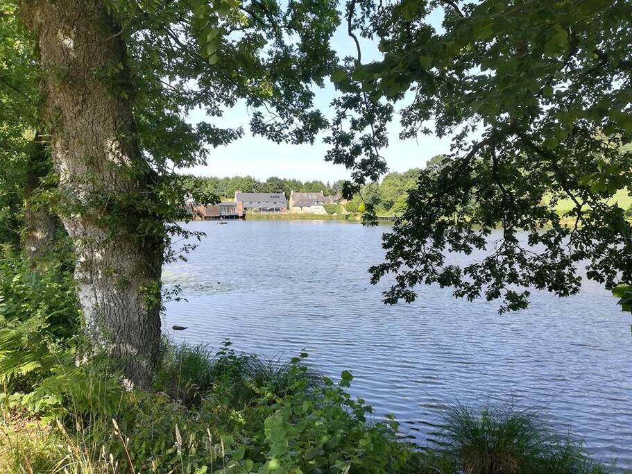 Etang Neuf