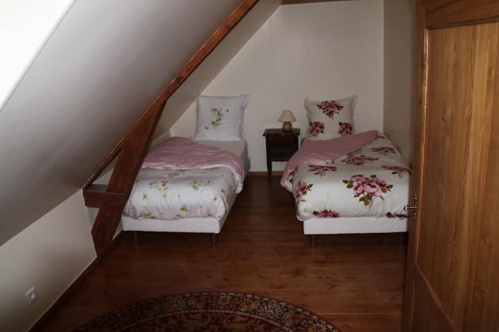 Habitación con 2 camas de 1 persona