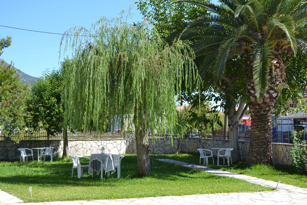 Garden infront