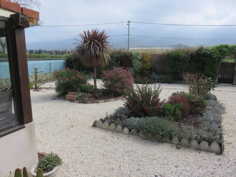 jardin derrière