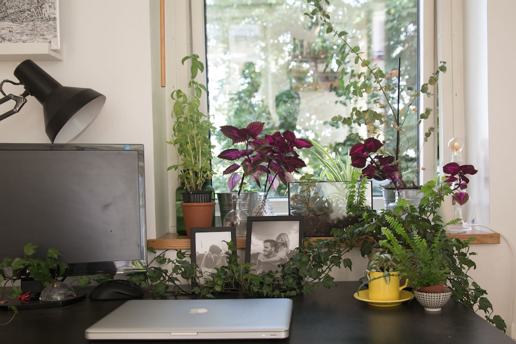 Desk/workspace with lots of greenery