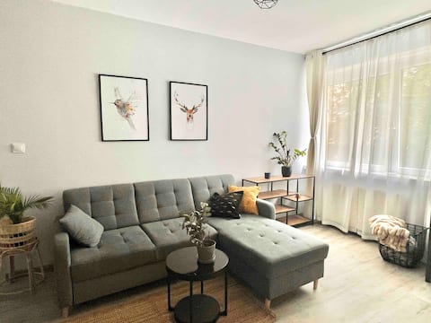 Popular Airbnb listing: Charming Calliera 12 Apartment in Łazarz
