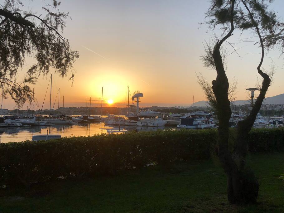 Marina and small Park...