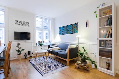 Cozy Apartment in the Best Location of Oslo
