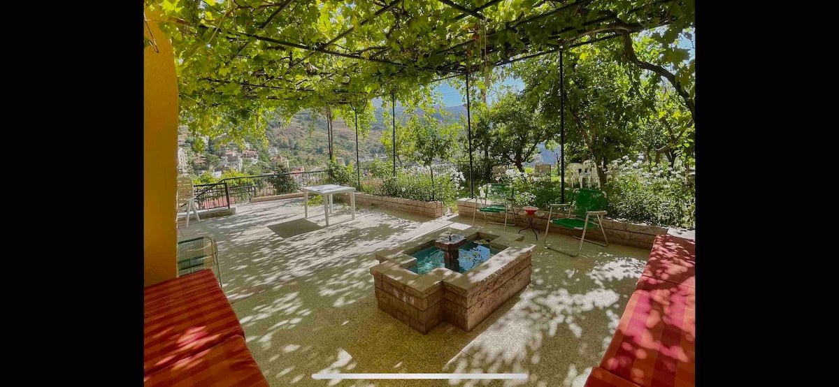 A shaded outdoor area is framed by lush grapevines, casting dappled shadows on the ground. A rectangular stone firepit is centrally located, surrounded by seating. Views of the surrounding greenery and mountain landscape are visible in the background.