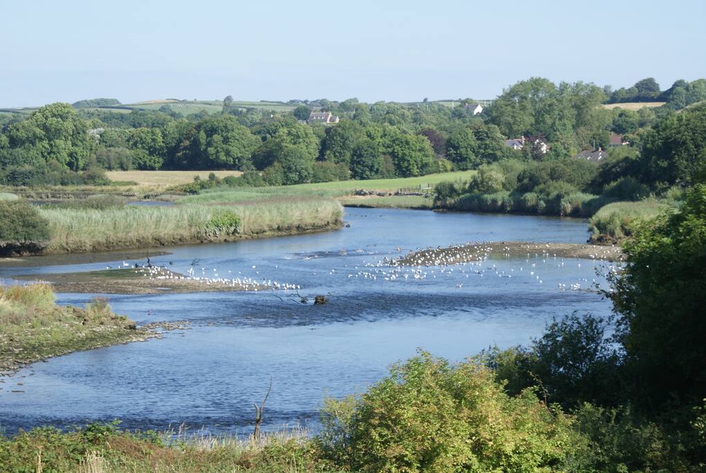 Unrestricted river access