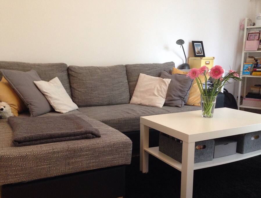 Dein Zimmer mit der bequemen Schlafcouch!