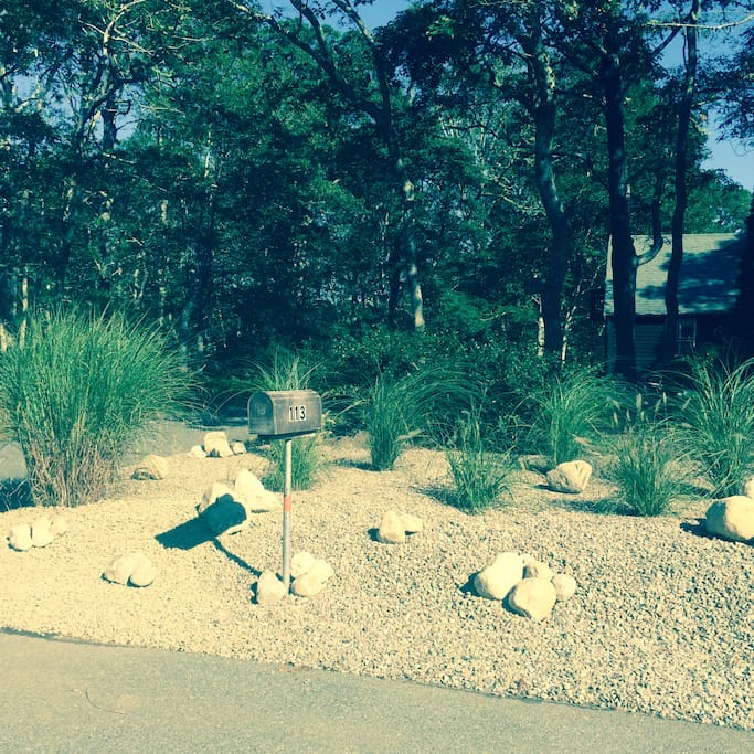 A view of the modified Zen garden.