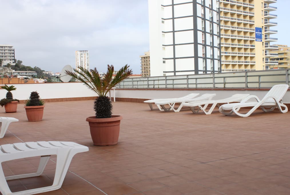 Terrace// Swimming pool