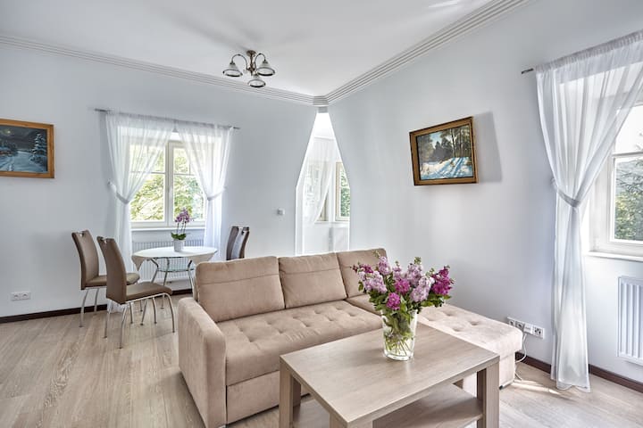 Unique City Centre Villa Appart 100m + Pivat Pool - Karlovy Vary