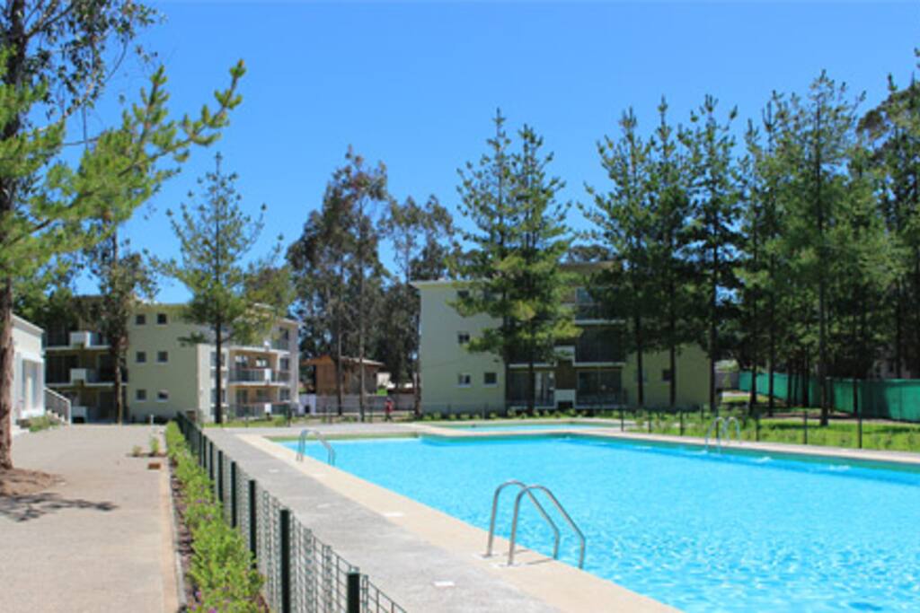 piscina adultos