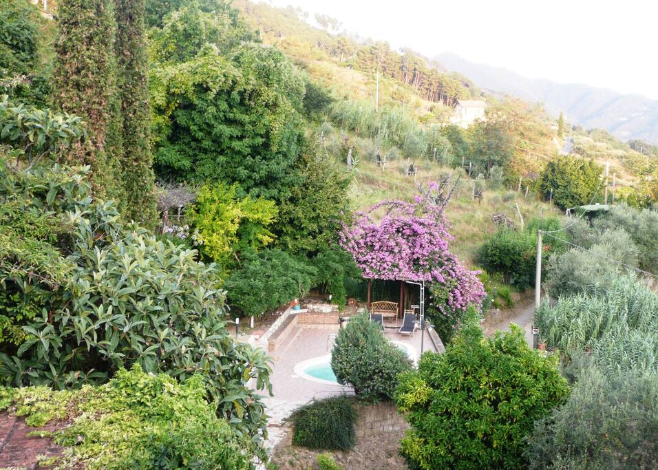 Vista piscina