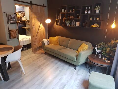 Cozy & luxury apartment "De Oliekan" L