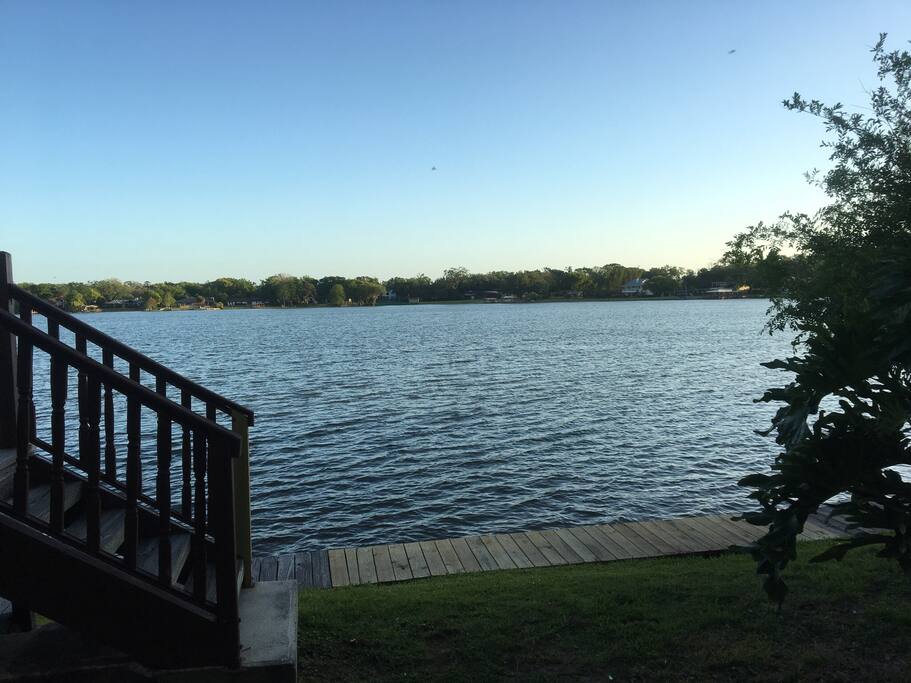My backyard