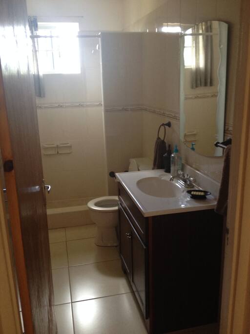 one of the guest bathrooms, standing shower, standard vanity.