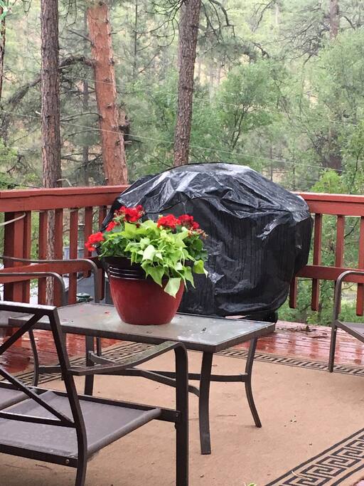 Geraniums brighten the deck. Cushions for deck furniture stored in game room. Grill available for use but not included in my listing as there may or may not be propane.