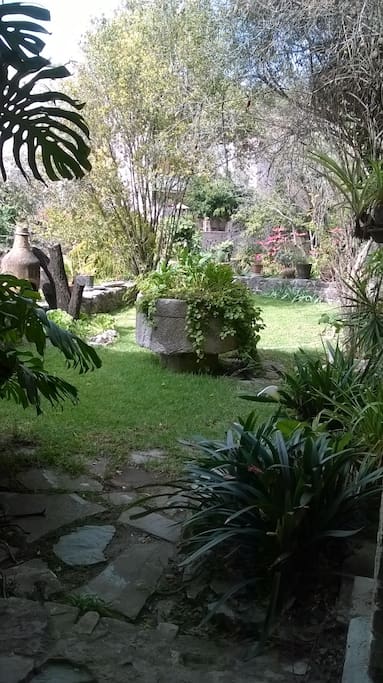 Jardin