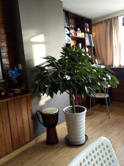 大厅