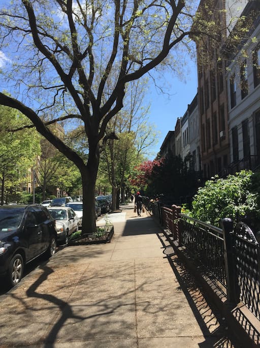 Our street