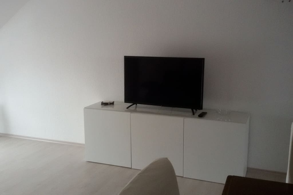 Fernseher