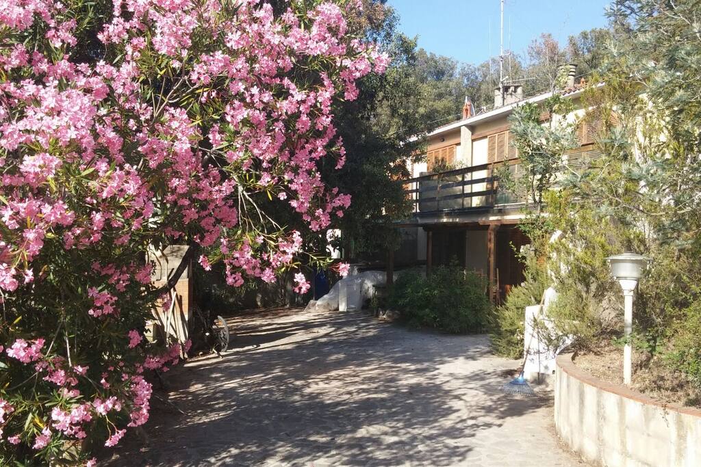 L'esterno della villetta