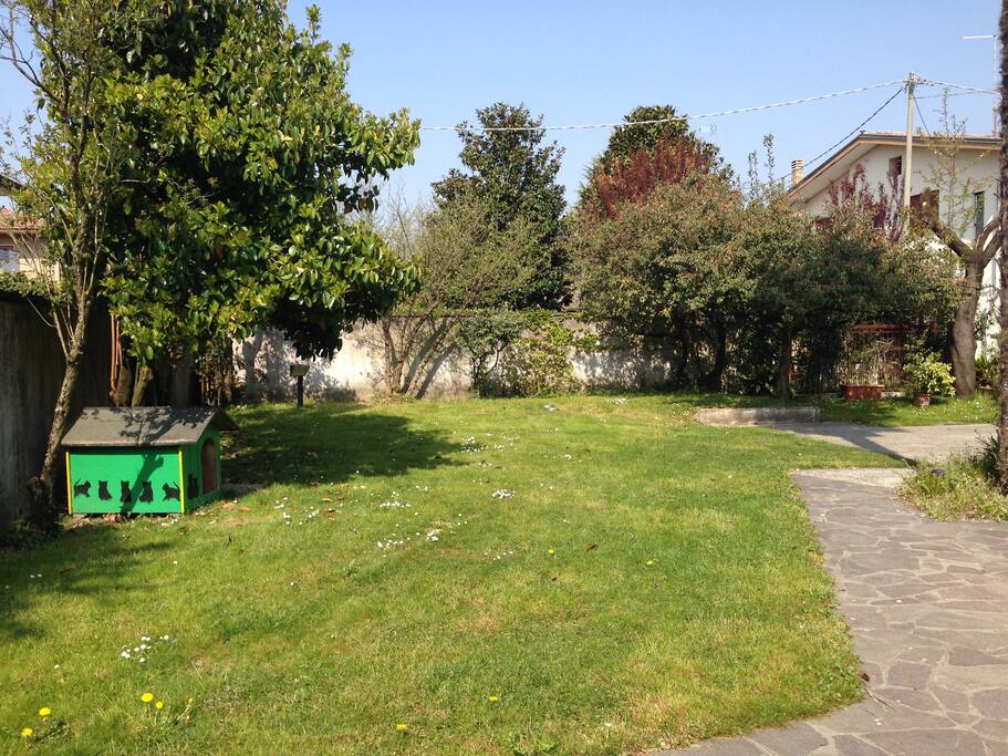 giardino sul retro della casa