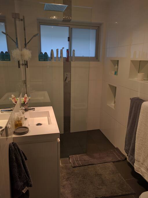Elegant bathroom and sophisticated finishes