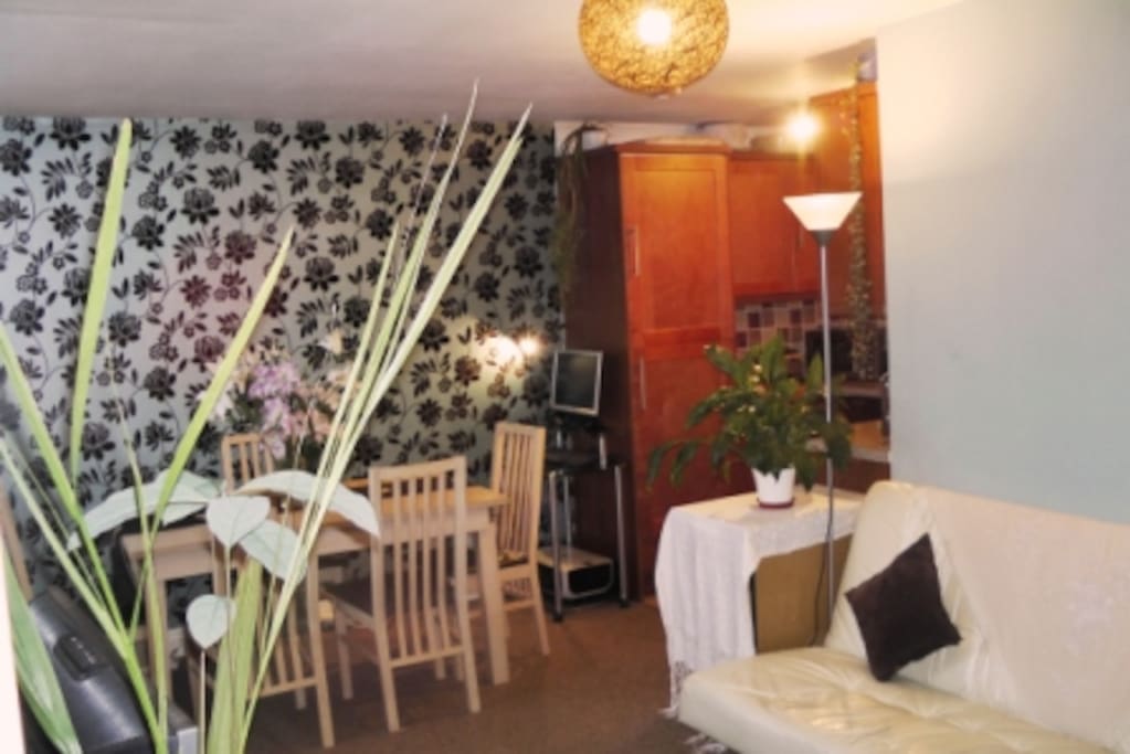 The living room and kitchen