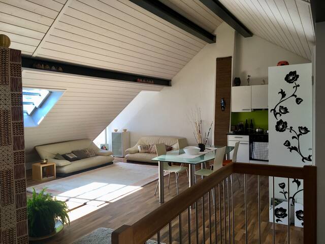 Ligerz loft with beautiful lake view