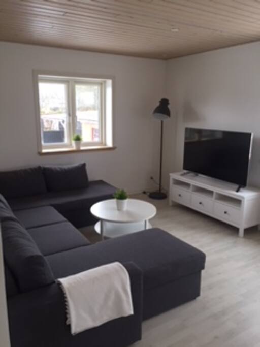 Stue med stor u-sofa, som kan laves om til sovesofa, samt 55" fladskærms tv.