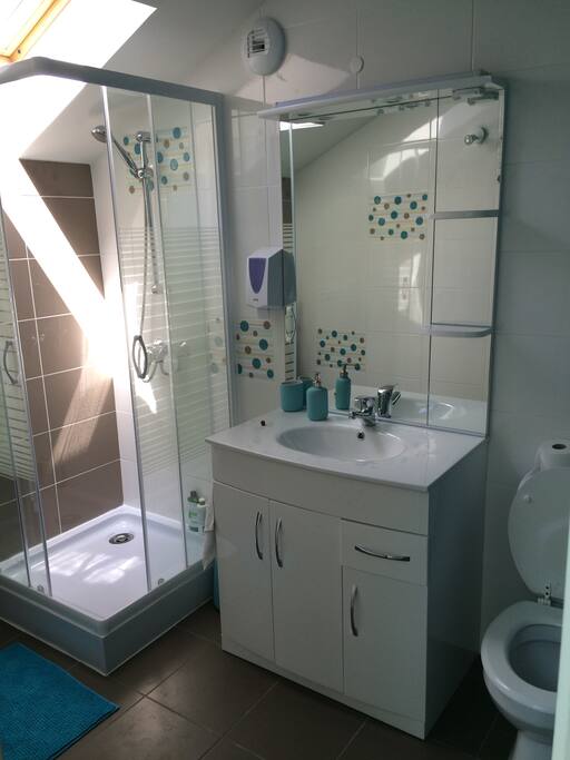 Salle de bain et toilette privée dans la chambre
