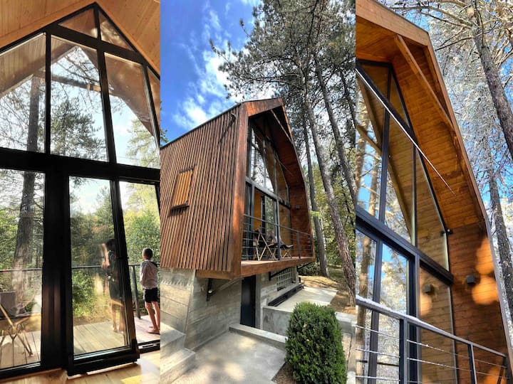 Mala Reka Tara Mountain Sauna Retreats - Villa 68 Pines - Villas for Rent in Mala ...