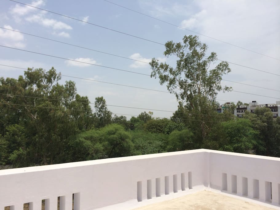 Terrace View