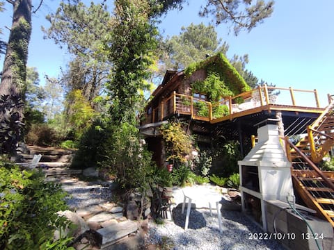 Magnificent House in the Mountains, Pool, Los Pinos