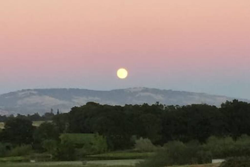 Moonrise across the street—and view from the living room window.