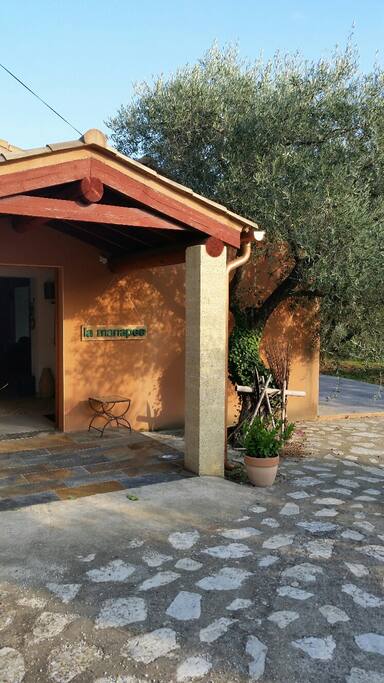 Entrée