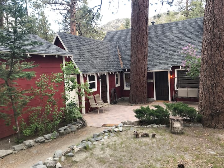 Top 9 Cabin Rentals In Wrightwood, California Updated 2024 Trip101