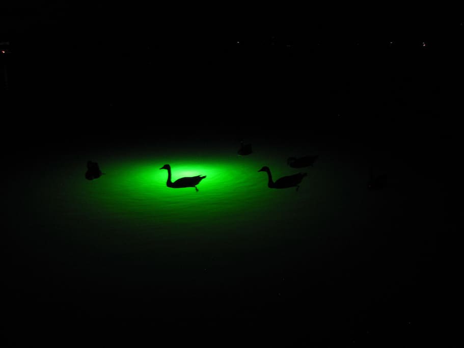 2 underwater fishing lights for nighttime fishing and duck watching