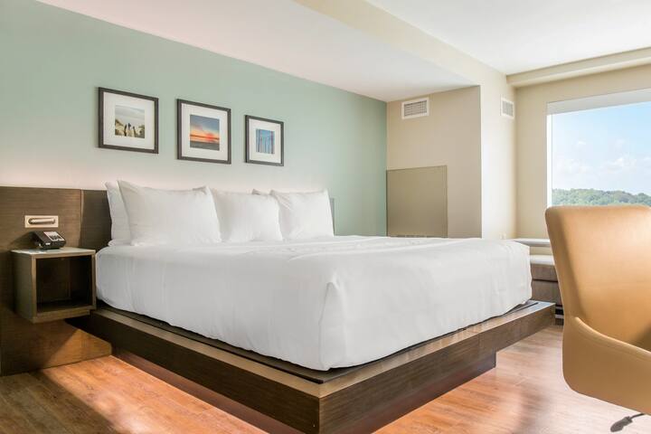 Wyndham Newport Hotel, Single King Room