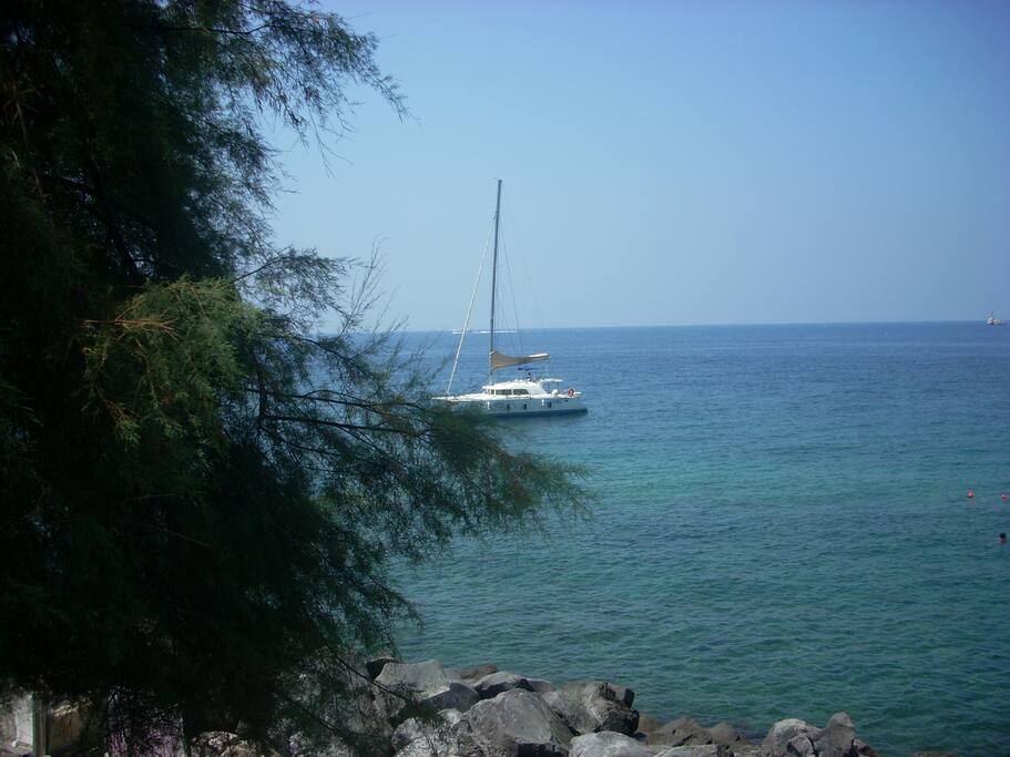 view from patio