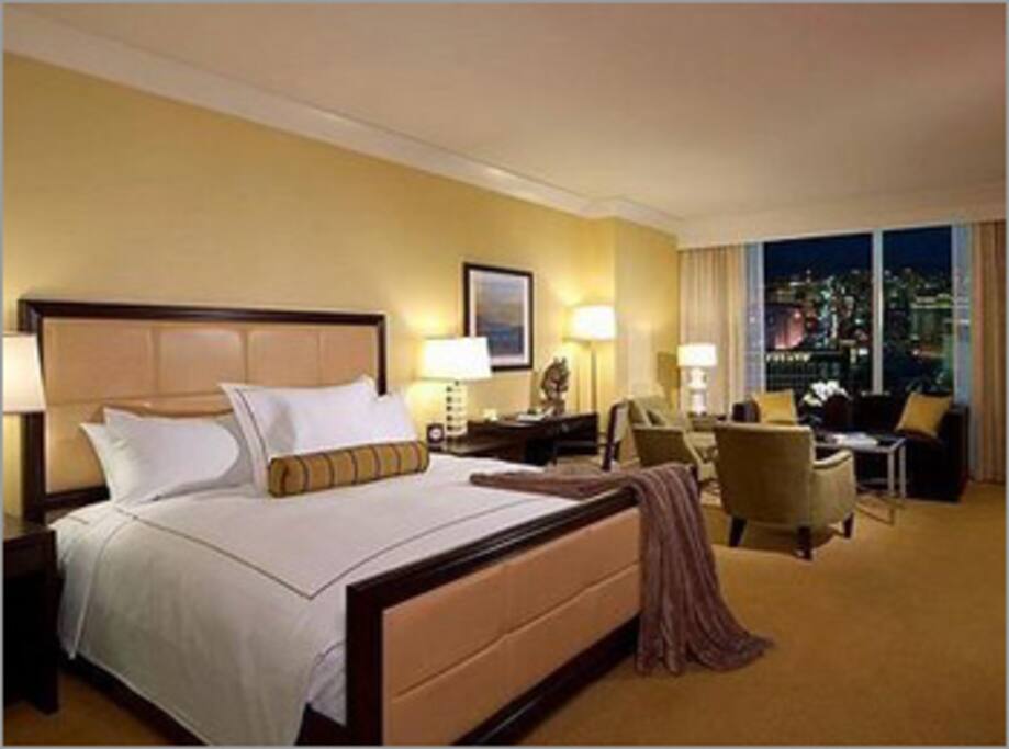 One luxurious king sized bed & a pull out bed