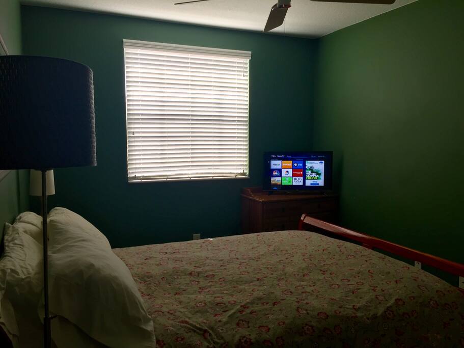 Roku TV