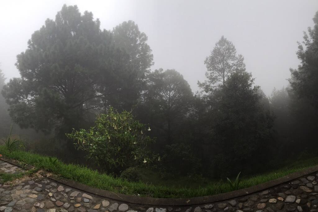 Paisaje planta baja
