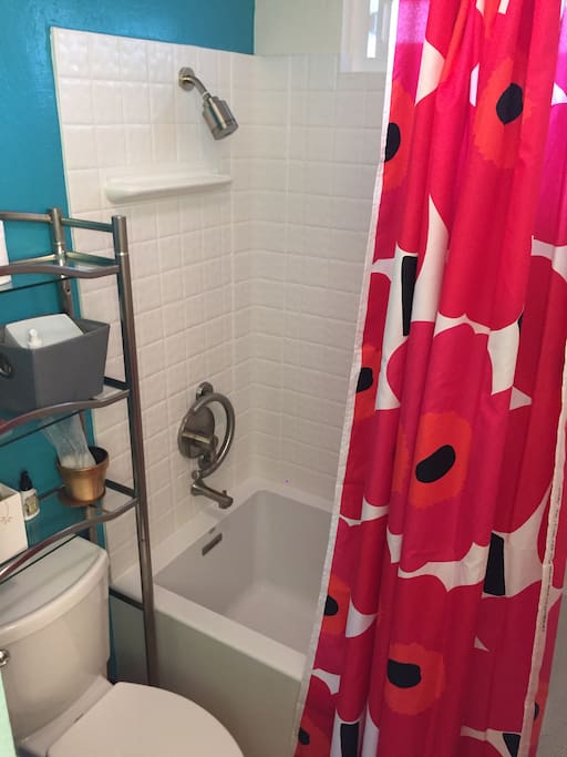 Brand new bathroom. Extra deep tub! Handicap bars, too.