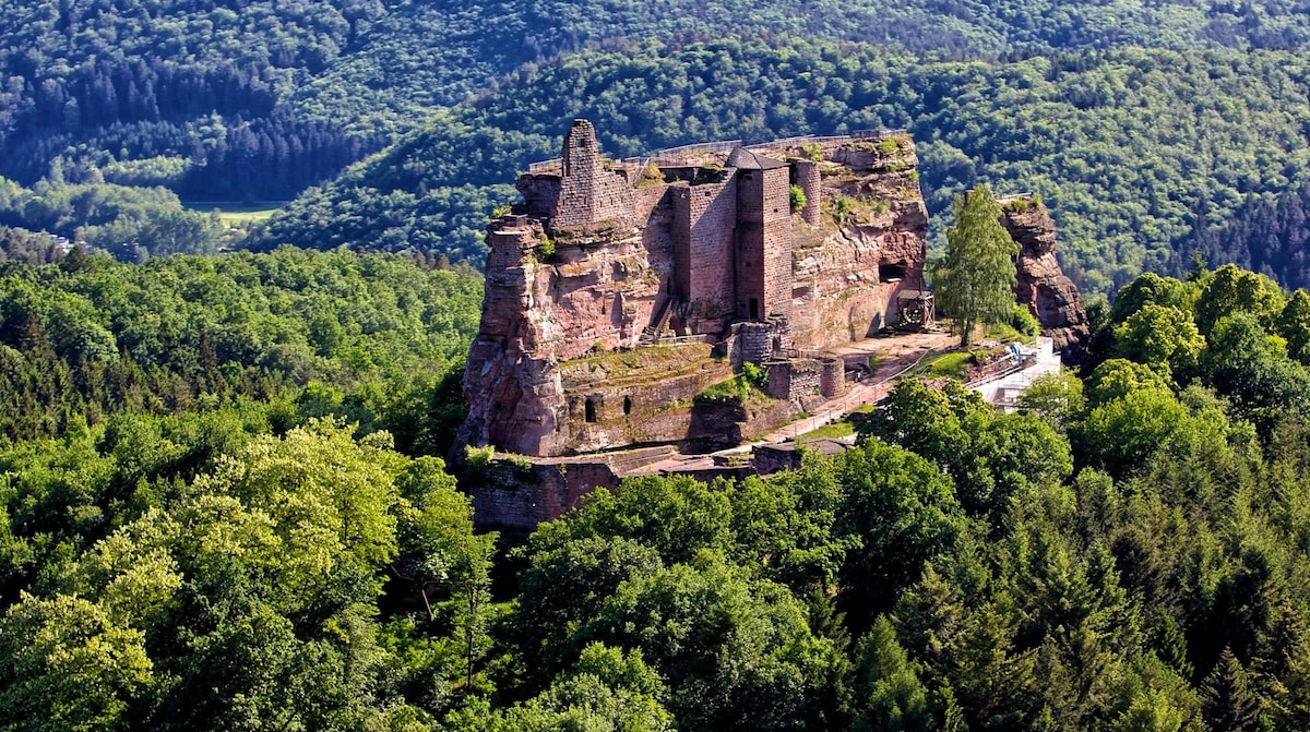 An ancient castle ruins is nestled among lush greenery, showcasing its weathered stone walls and historic structure. Towering trees surround the site, enhancing the natural beauty of the landscape, while distant hills provide a scenic backdrop.