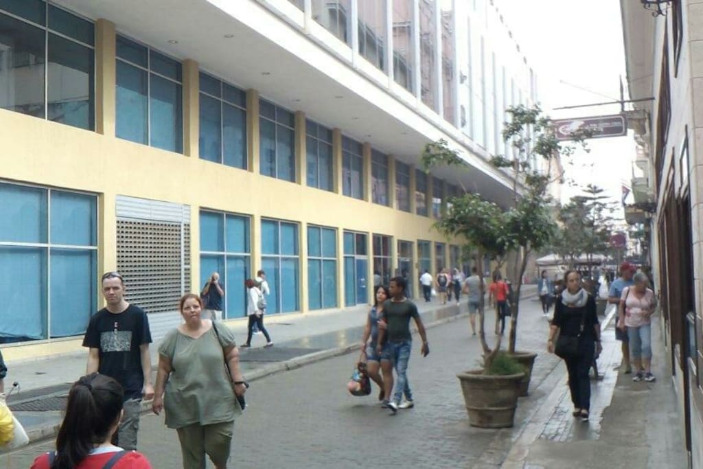 Universidad San Geronimo de la Habana, en San ignacio y obispo