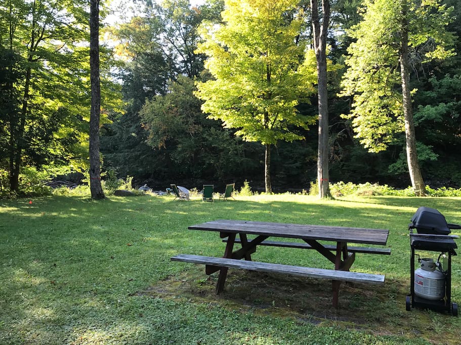 lawn view, picnic table, grill