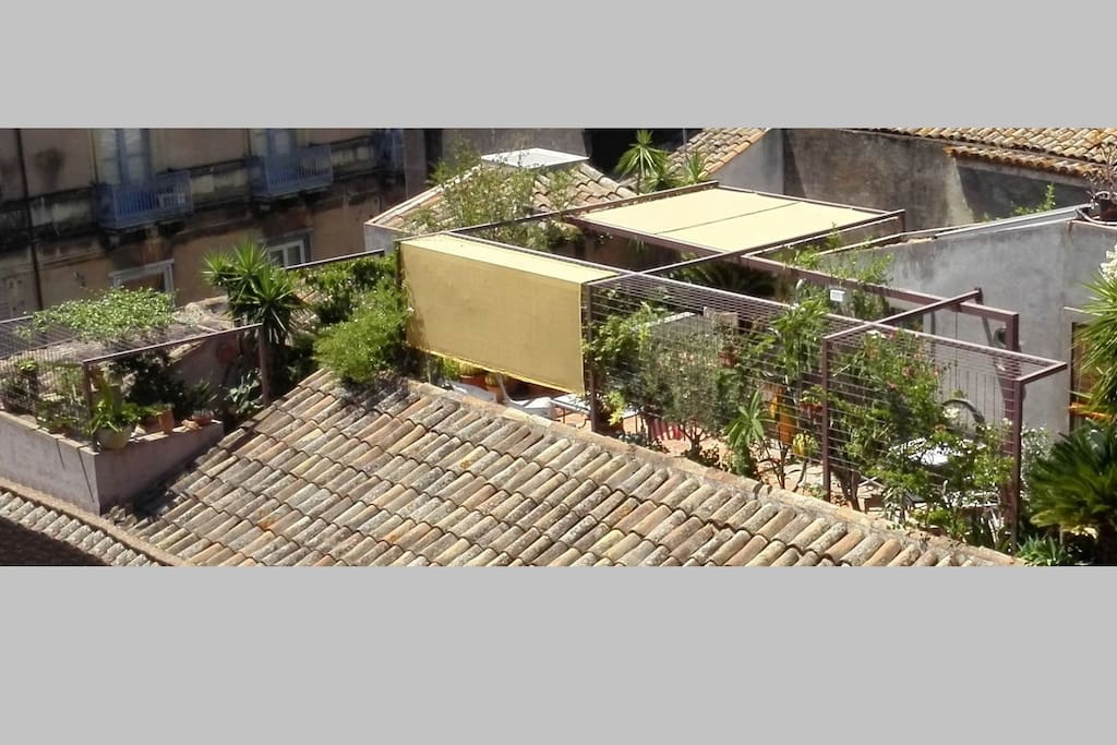 ROOF GARDEN